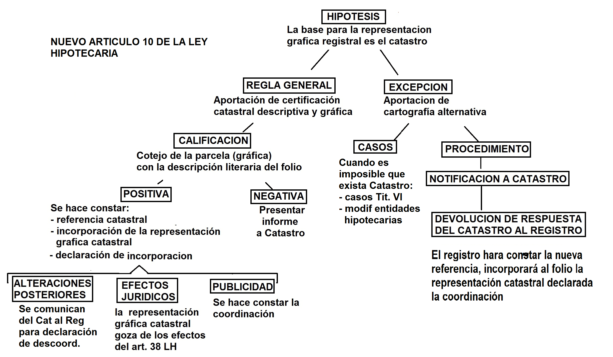 Esquema articulo 10